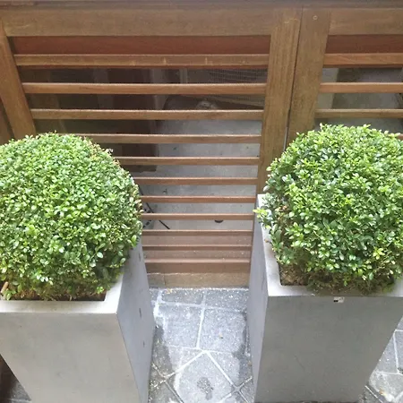 Hotel Elysees Flaubert-2